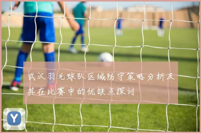 武汉羽毛球队区域防守策略分析及其在比赛中的优缺点探讨