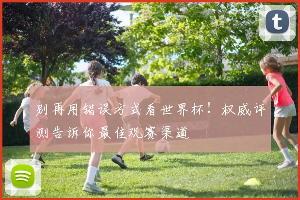别再用错误方式看世界杯！权威评测告诉你最佳观赛渠道